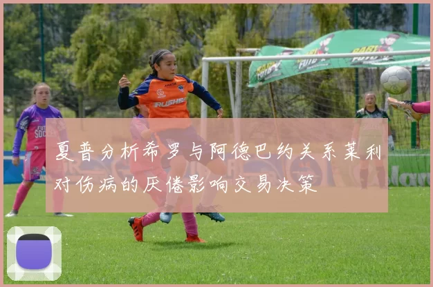 夏普分析希罗与阿德巴约关系莱利对伤病的厌倦影响交易决策