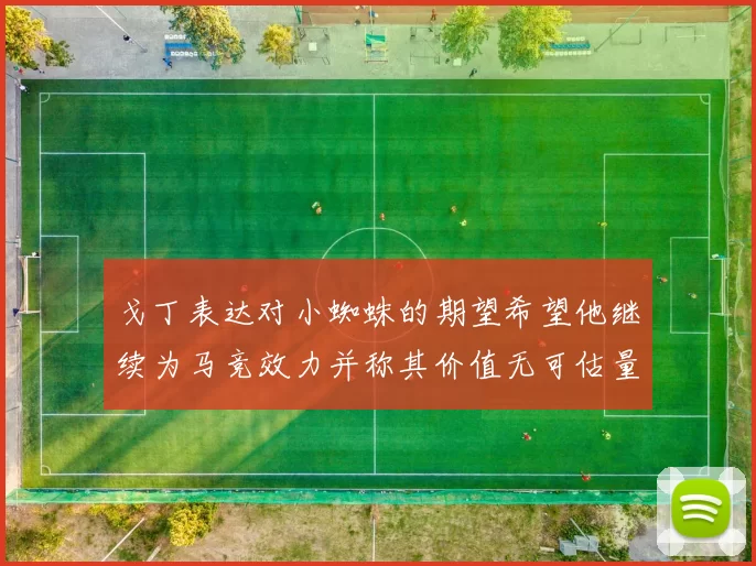 戈丁表达对小蜘蛛的期望希望他继续为马竞效力并称其价值无可估量